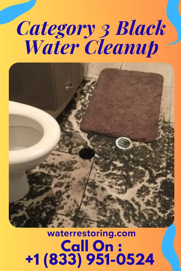 Category 3 Black Water Cleanup in Balcones Heights, TX