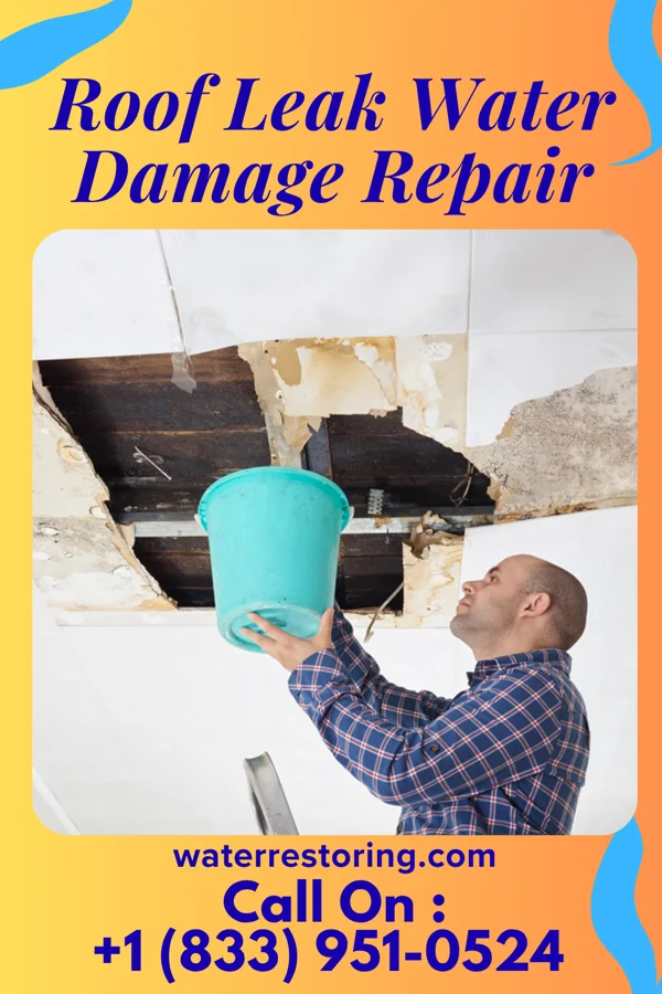 Roof Leak Water Damage Repair in Balcones Heights, TX